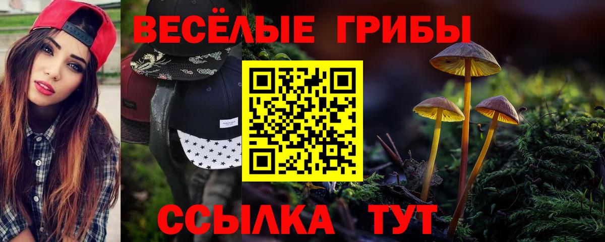 Кисловодск  цена наркотик  Псилоцибиновые грибы мухоморы  Вход с VPN  Псилоцибиновые грибы Cubensis 